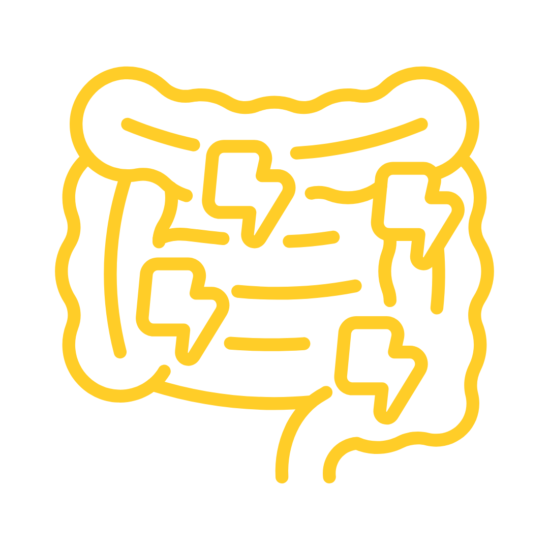 Intestino e Patologie Autoimmuni – Approccio GAPS